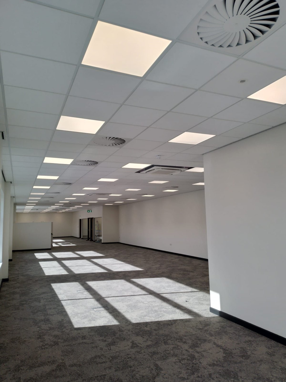 Finished suspended tile ceiling with LED panels and swirl diffusers over an open-plan office, sunlight across the carpet